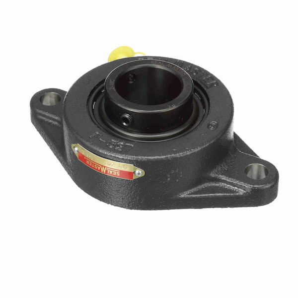 Mounted Cast Iron Two Bolt Flange Ball Bearing, SFT-24C